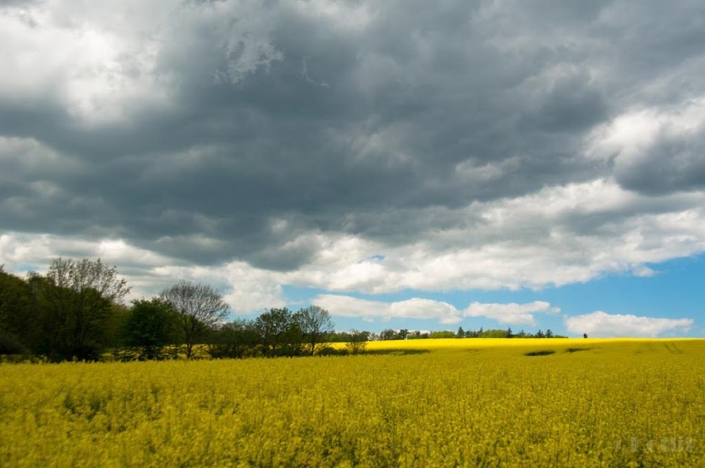 Penzion Na Kopci Vřesina Exterior foto