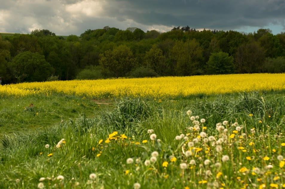 Penzion Na Kopci Vřesina Exterior foto